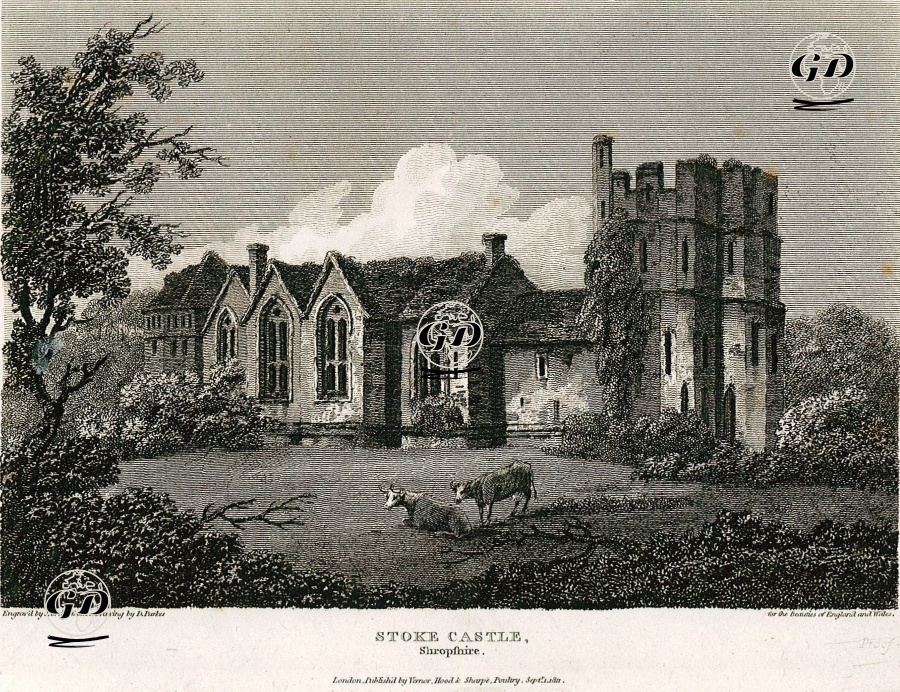 Stoke Castle, Shropshire - D.Parker - 1811