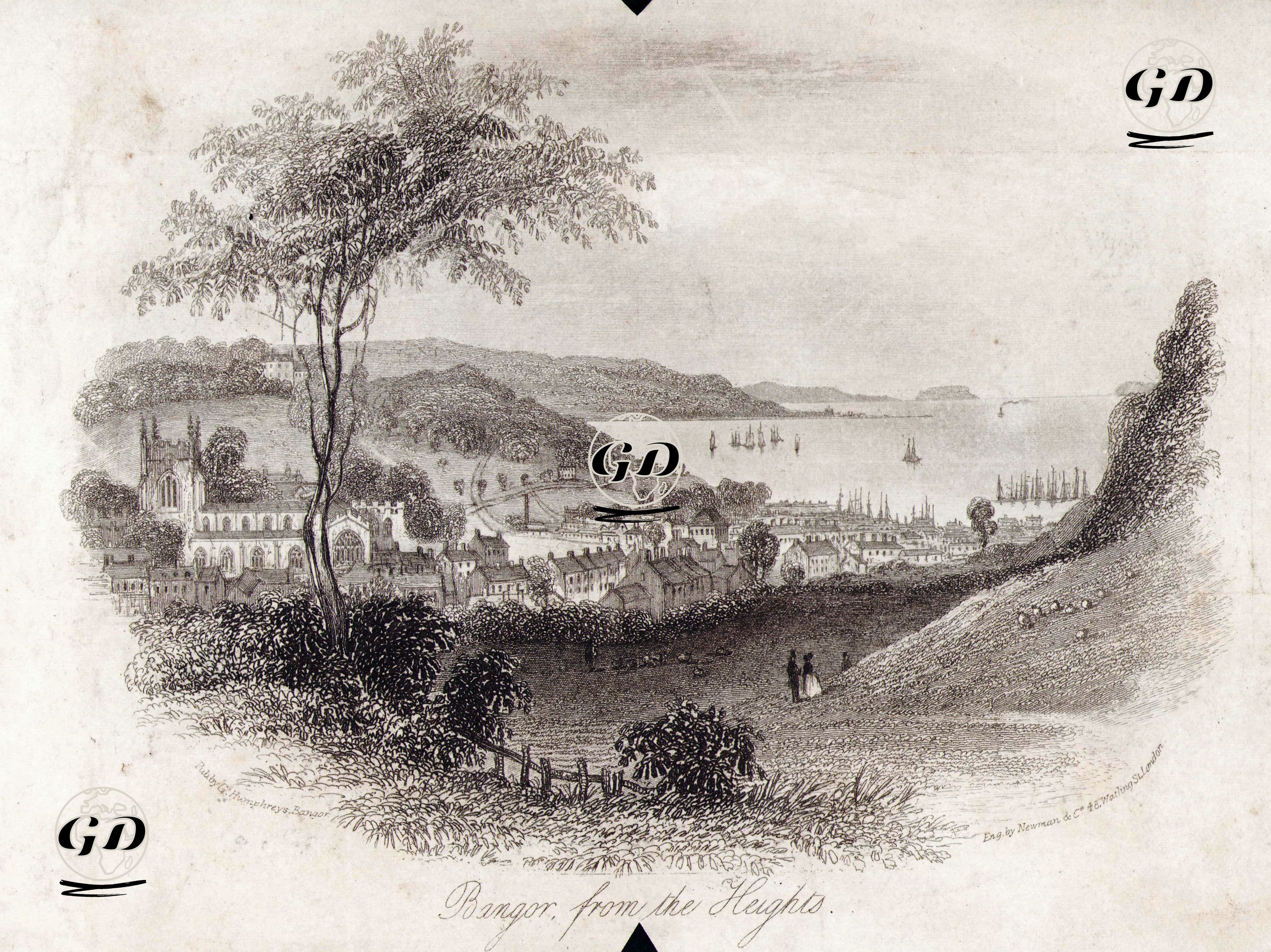 Bangor From The Heights -  - 1850's