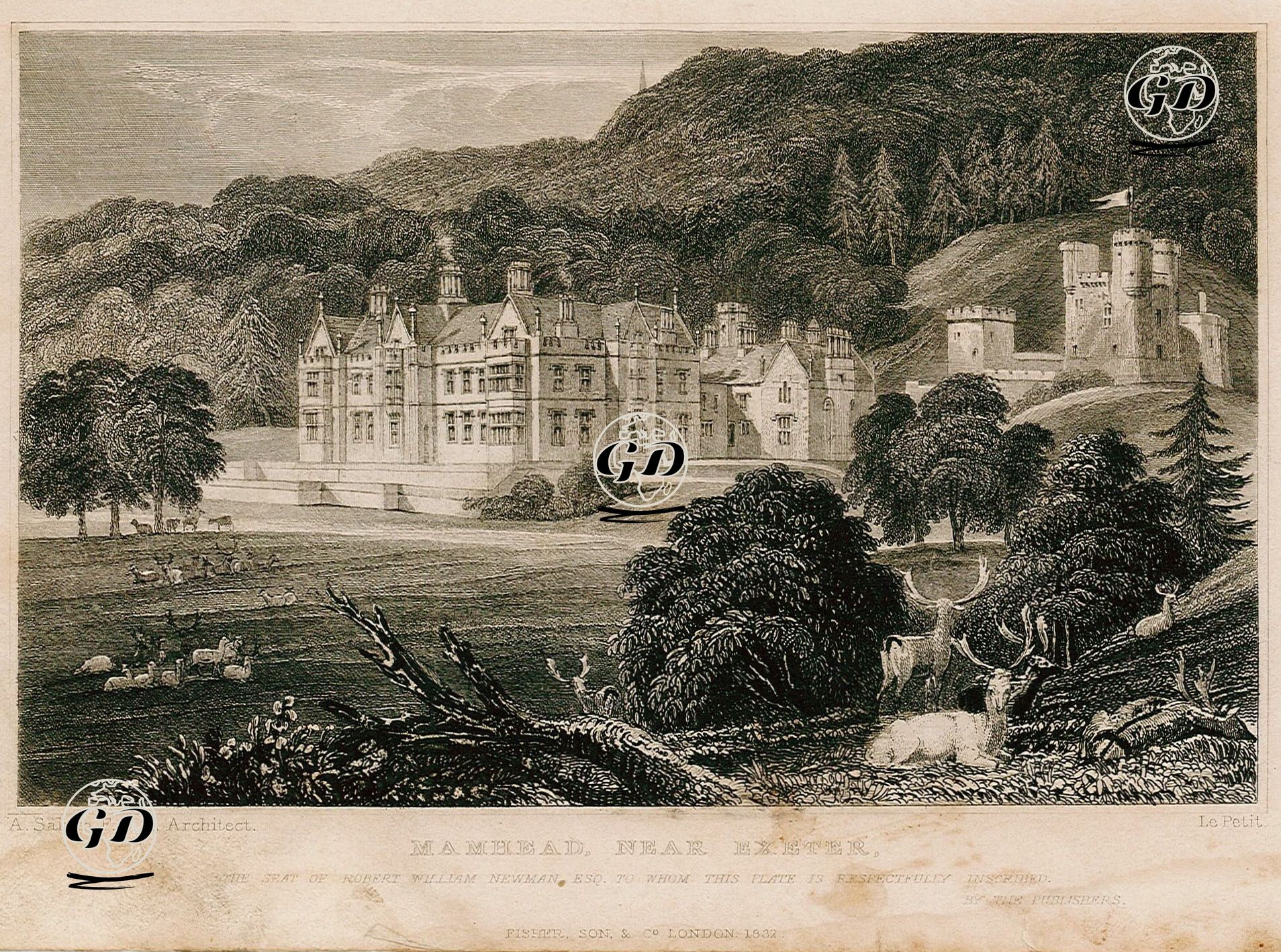 Robert William Newman'ın Evi Mamhead Malikhanesi - A.Salvin - 1832