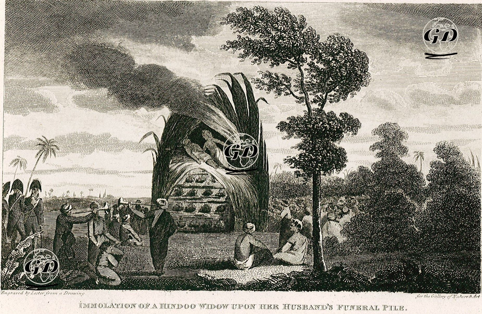 Dul Hindu Kadının Ölen Kocasıyla Beraber Yakılması (Sati) Töreni -  - 1814