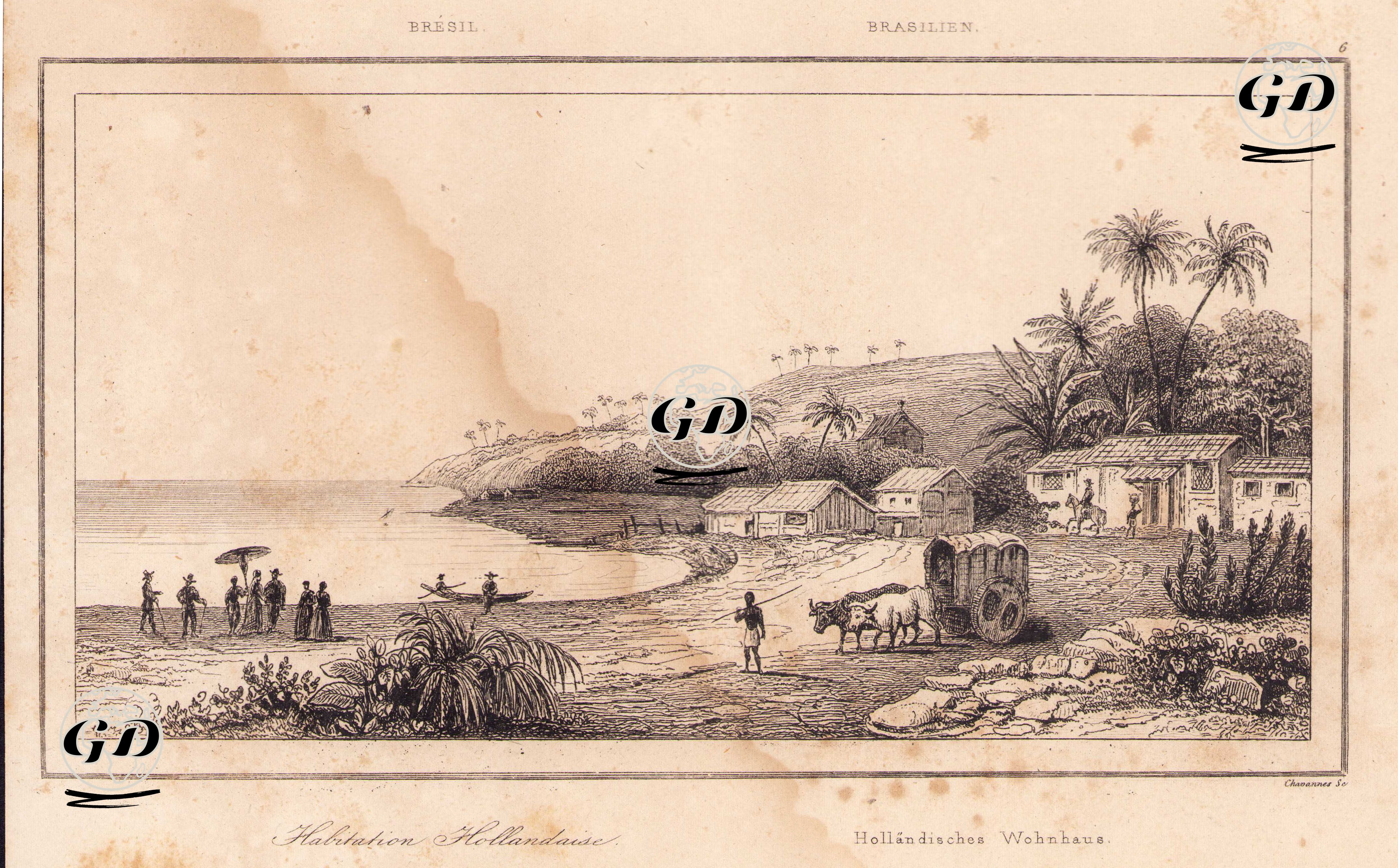 Brezilya'da Hollandalıların Yerleşim Yerleri -  - 1837