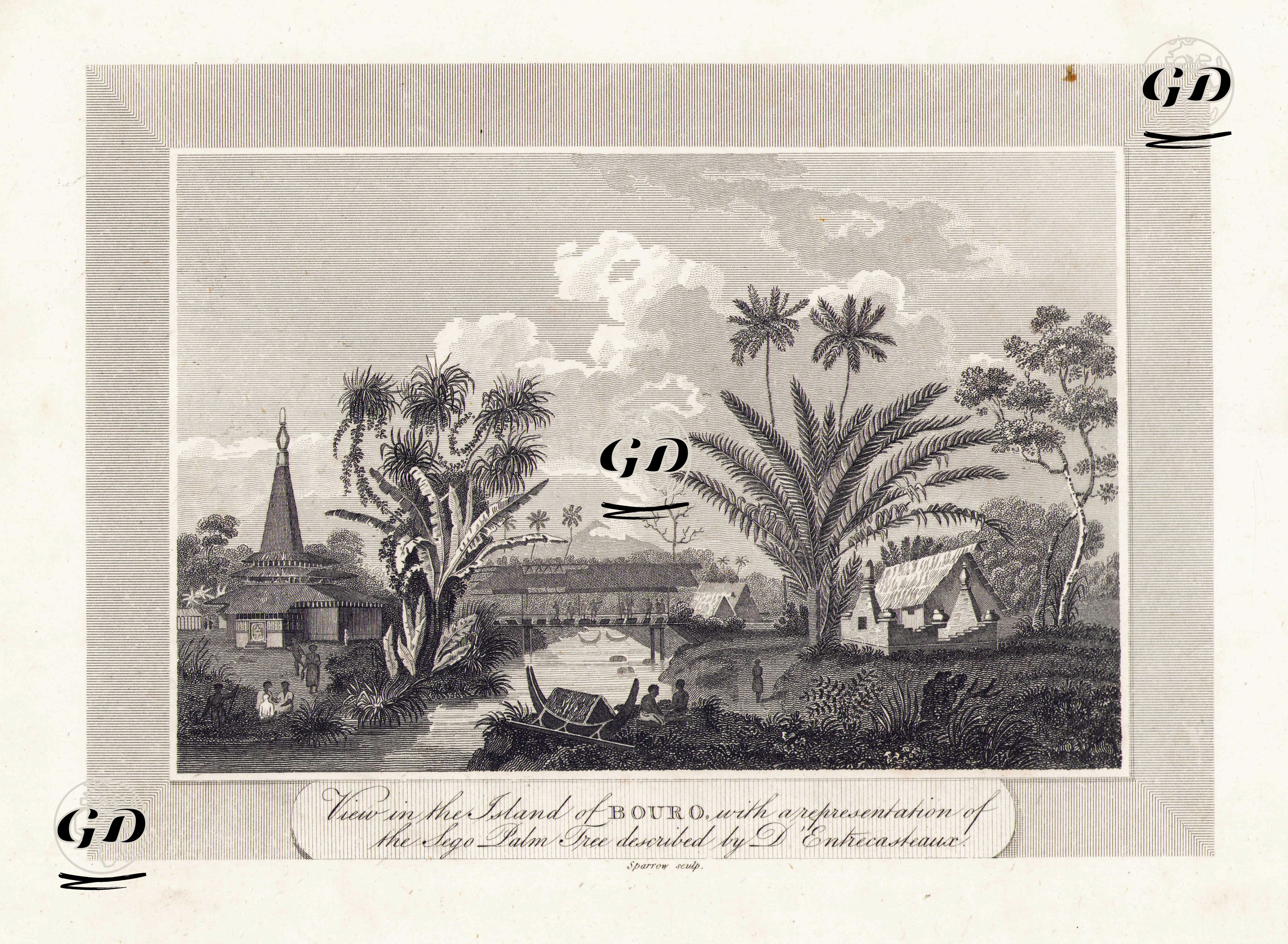 Sago Palmiyeleri İle Birlikte Buru (Bouro) Adasının Görünümü -  - 1806