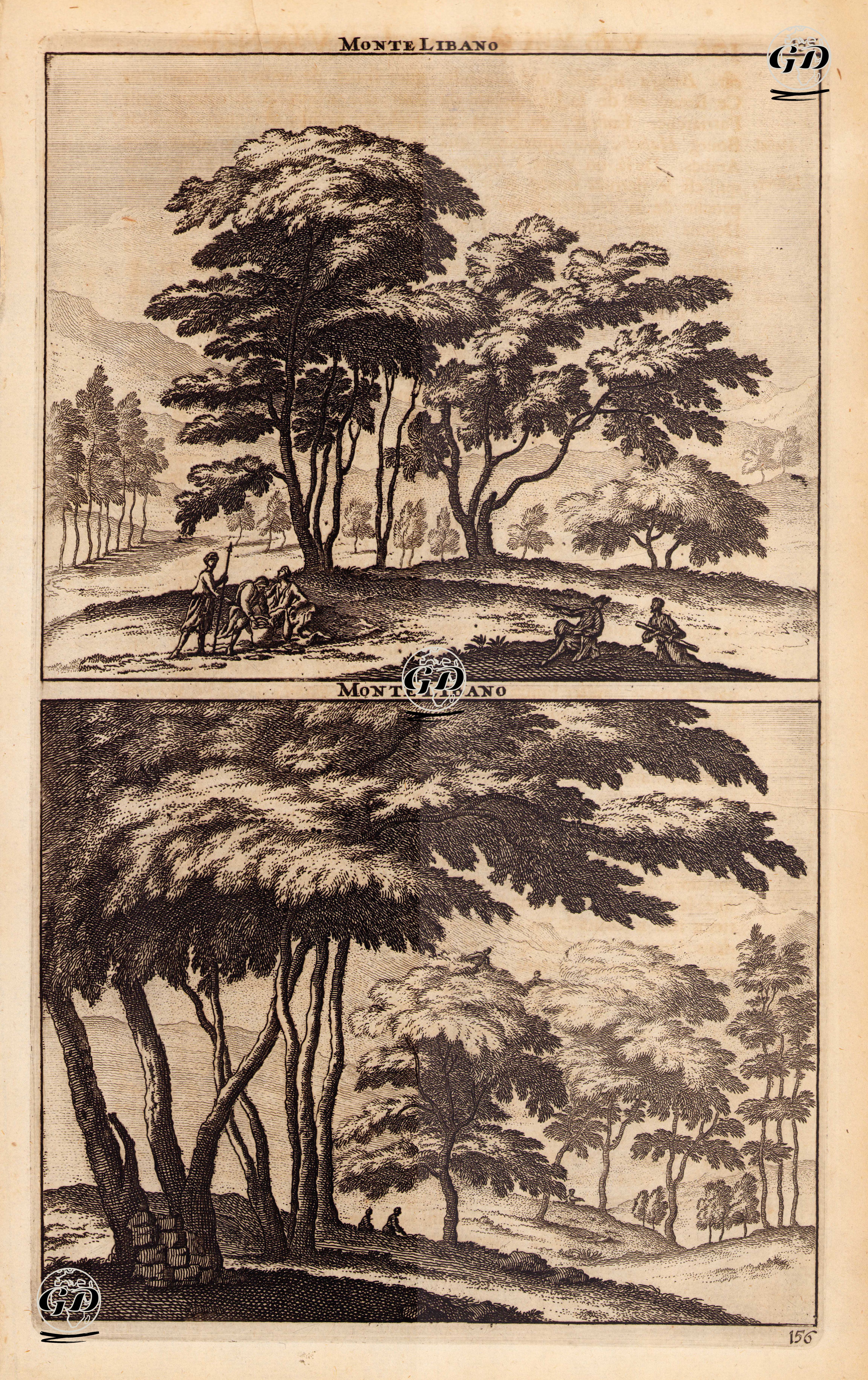  Lübnan'ın Sedir Ağaçları - Cornelis de Bruyn (1652-1727) - 1714