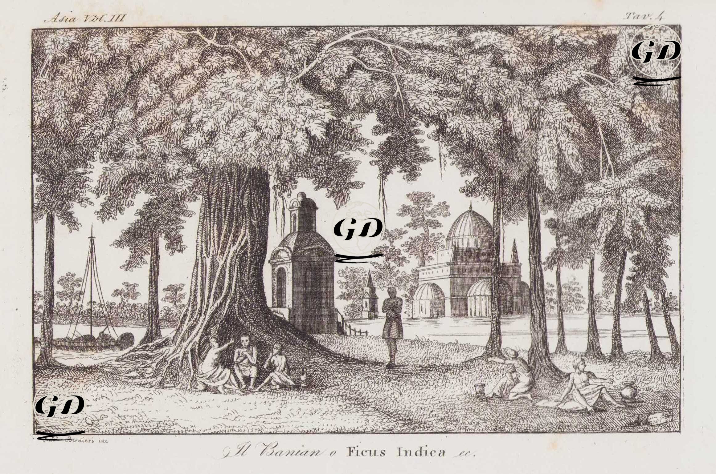 Hindistan'da Bir Tapınak ve Hint Banyan Ağacı, Asya Cilt III. Resim 4. -  - 1820's-1840's