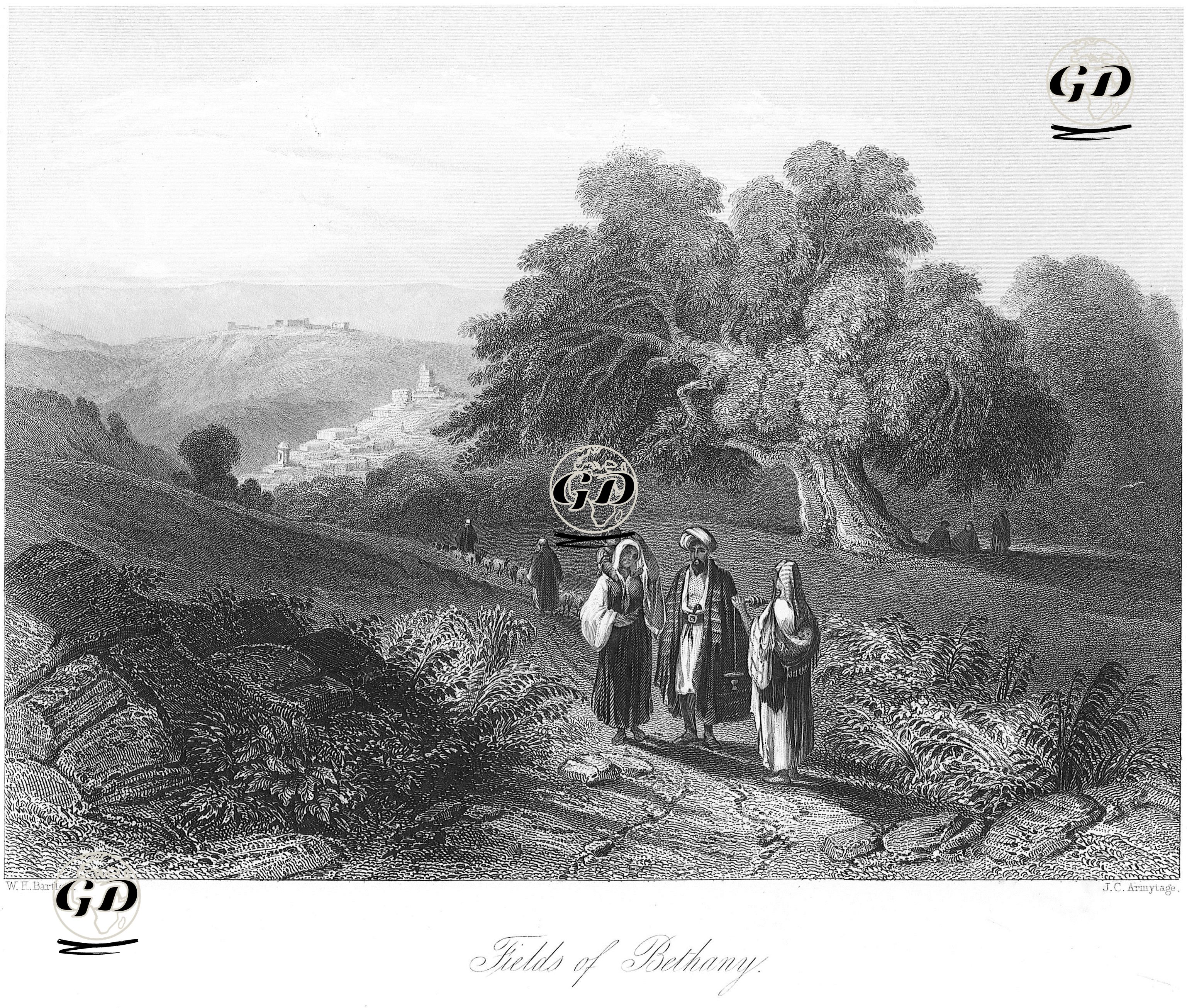 Fields of Bethany  - William Henry Bartlett (1809-1854) - 1847