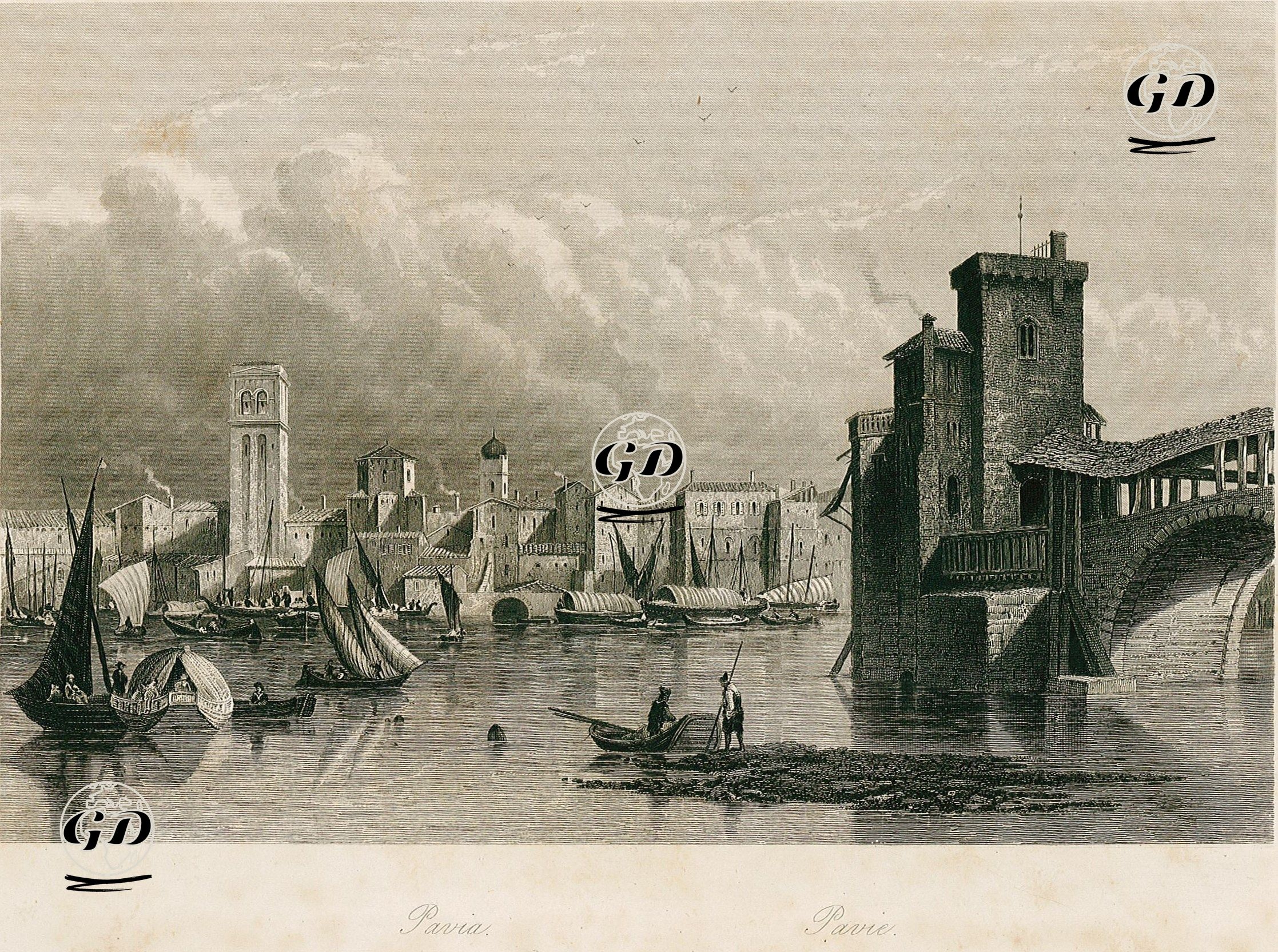 Pavia -  - 1800's
