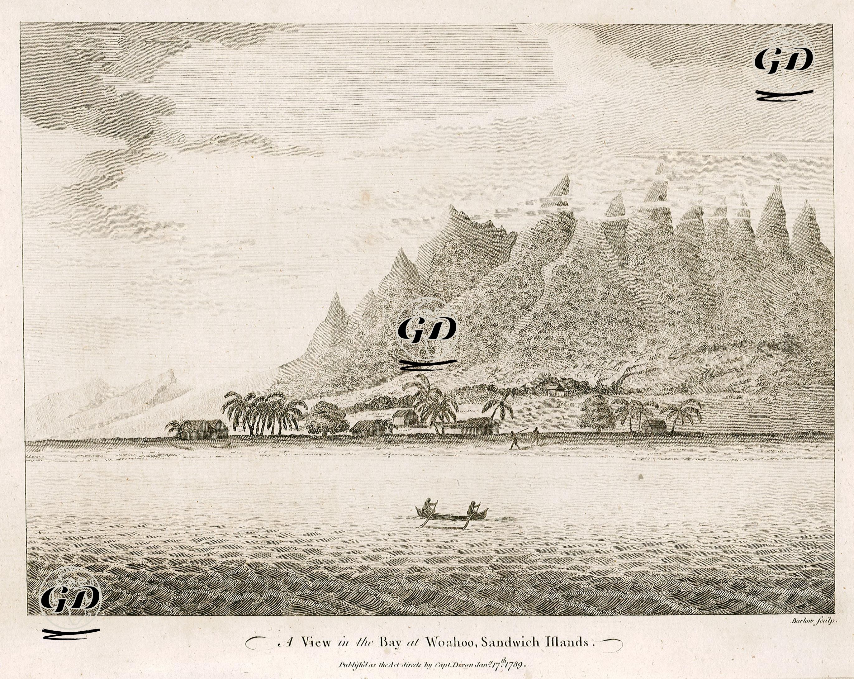 Oahu Adasındaki Bir Koyun Görünümü, Hawaii -  - 1789