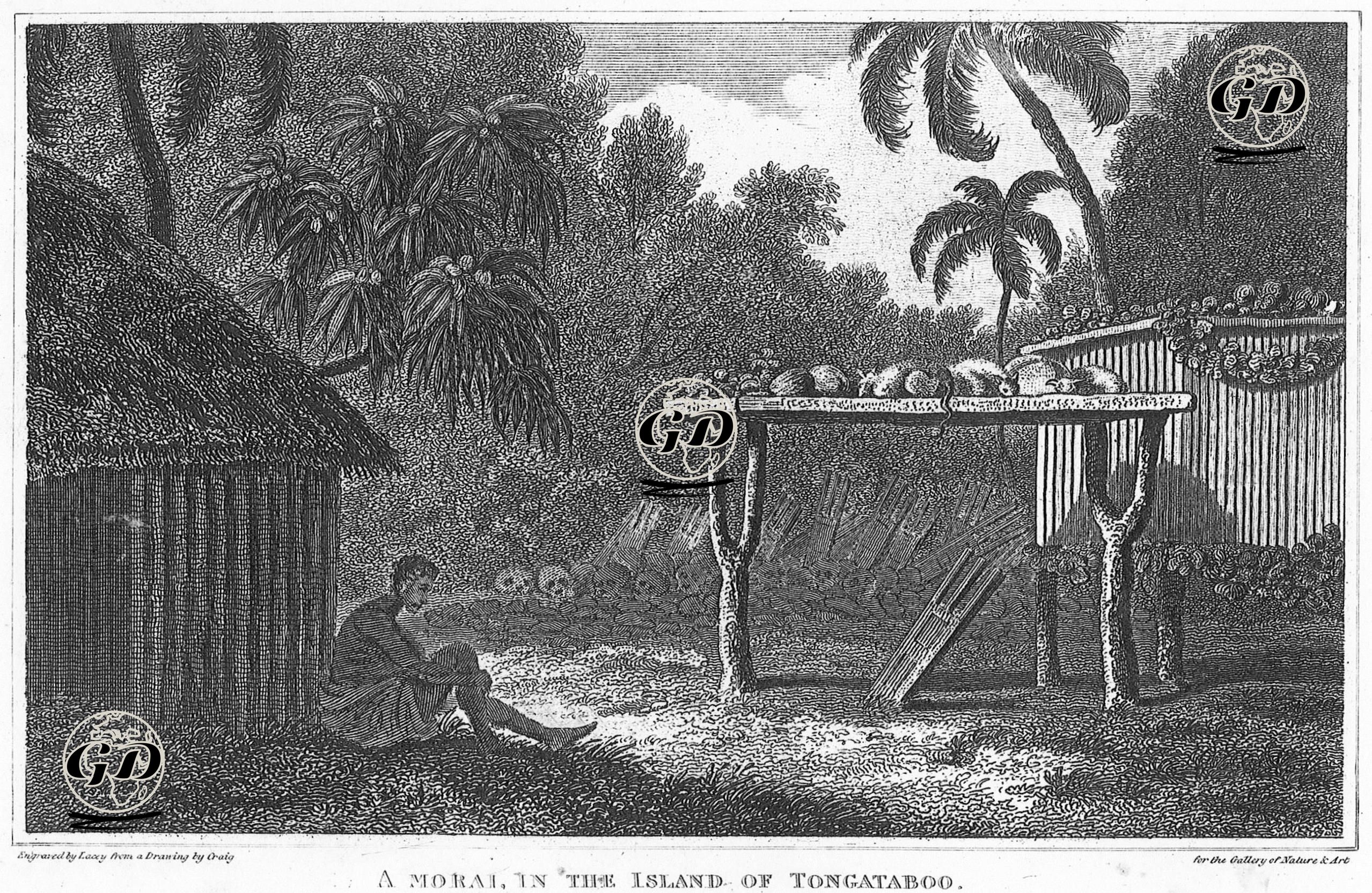 Tongatapu Adasında Mezarlık - William Marshall Craig (1765-1834) - 1810's