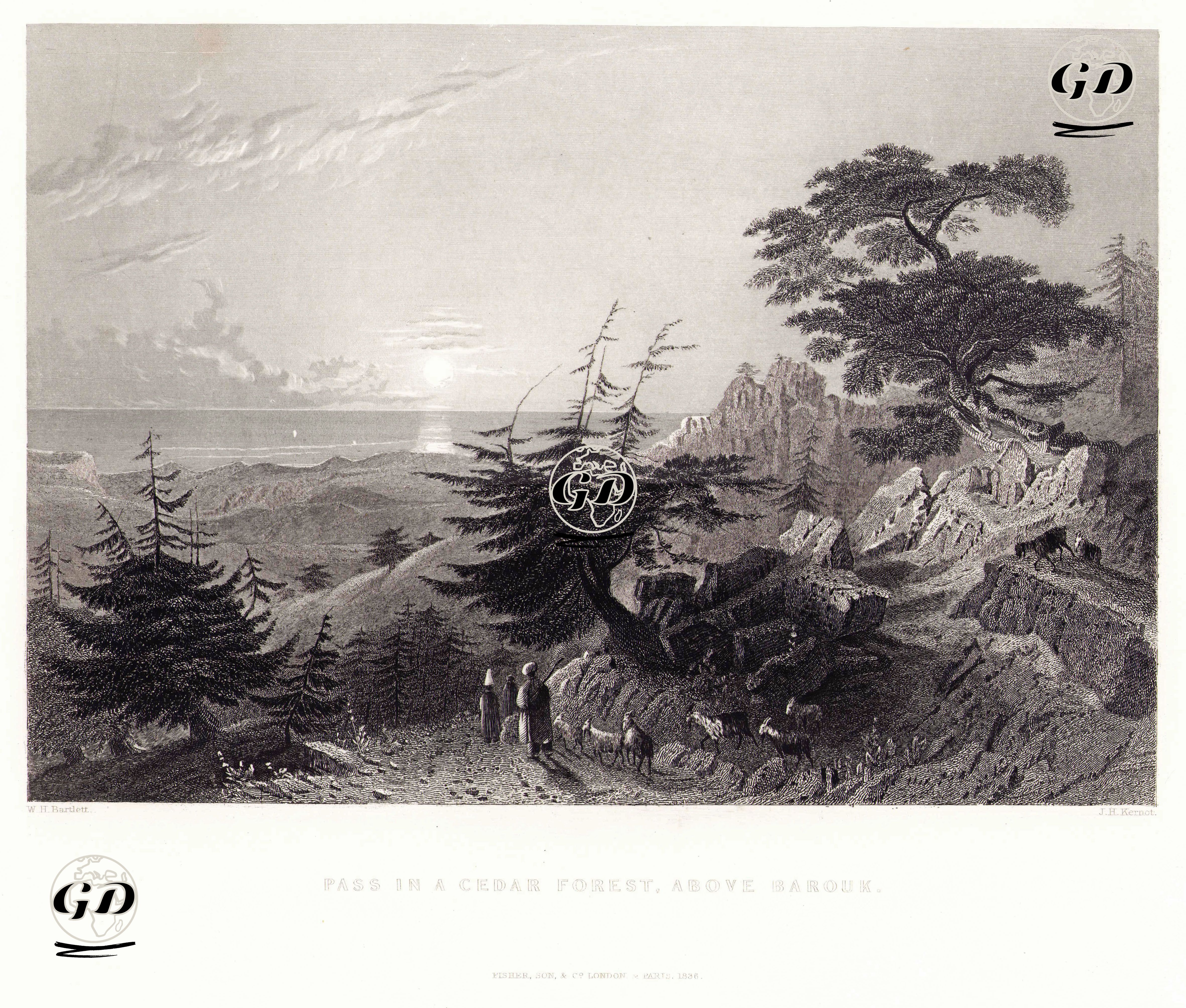 Pass In A Cedar Forest, Above Barouk - William Henry Bartlett (1809-1854) - 1836