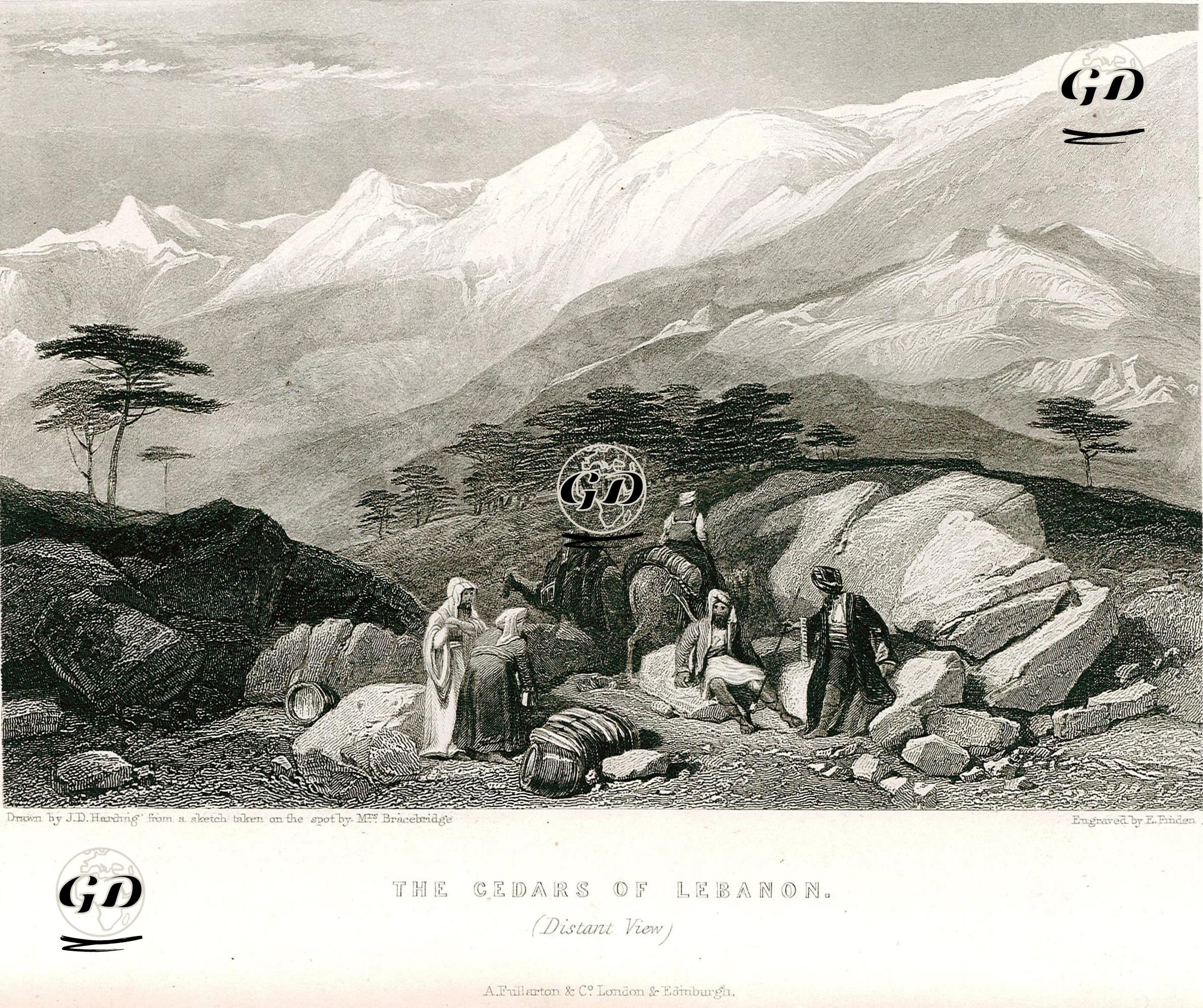 The Cedars Of Lebanon (Distant View)  - James Duffield Harding (1798-1863) - 1836