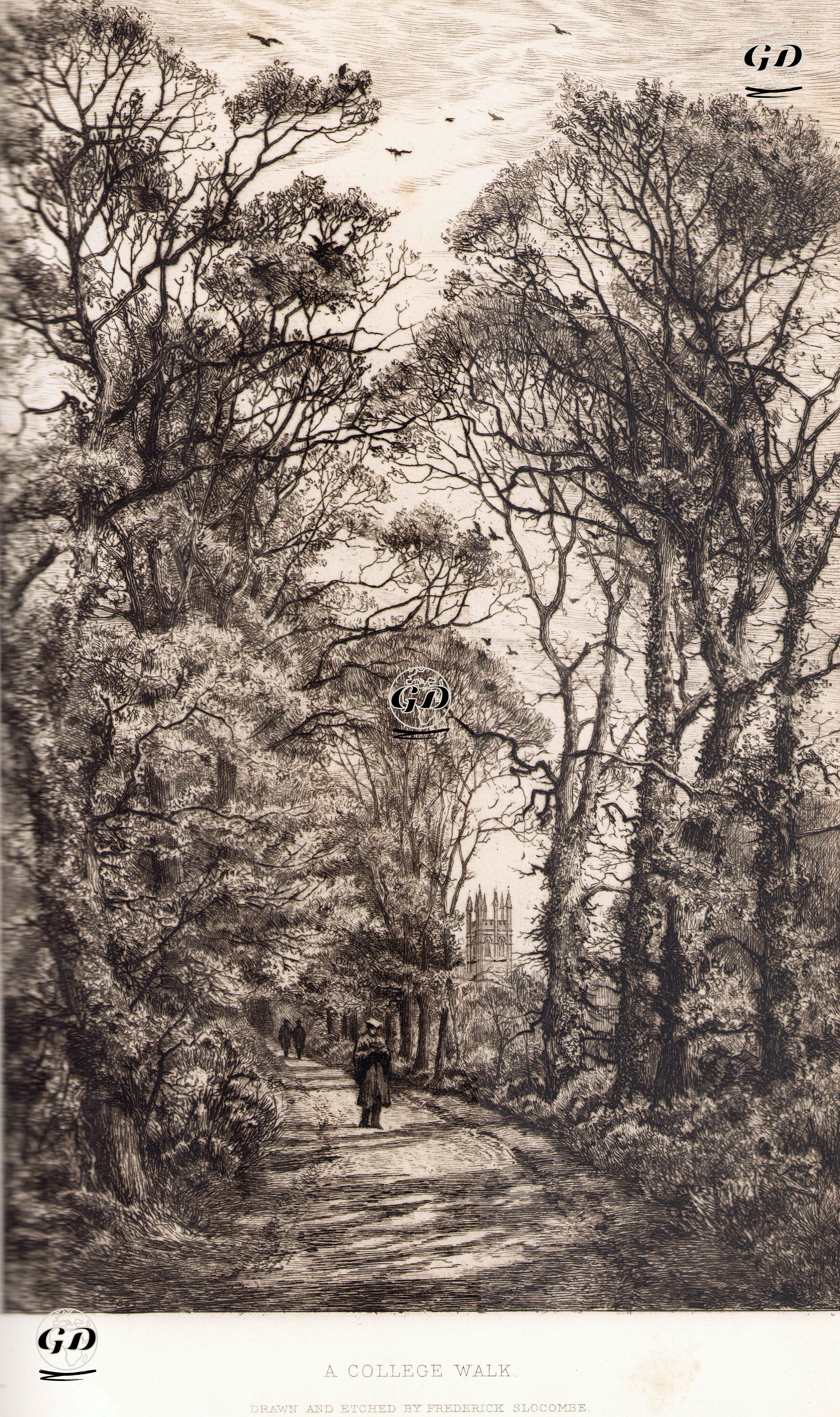 Oxford Üniversitesinde Yürüyüş Yolu - Frederick Albert Slocombe (1847-1920) - 1884