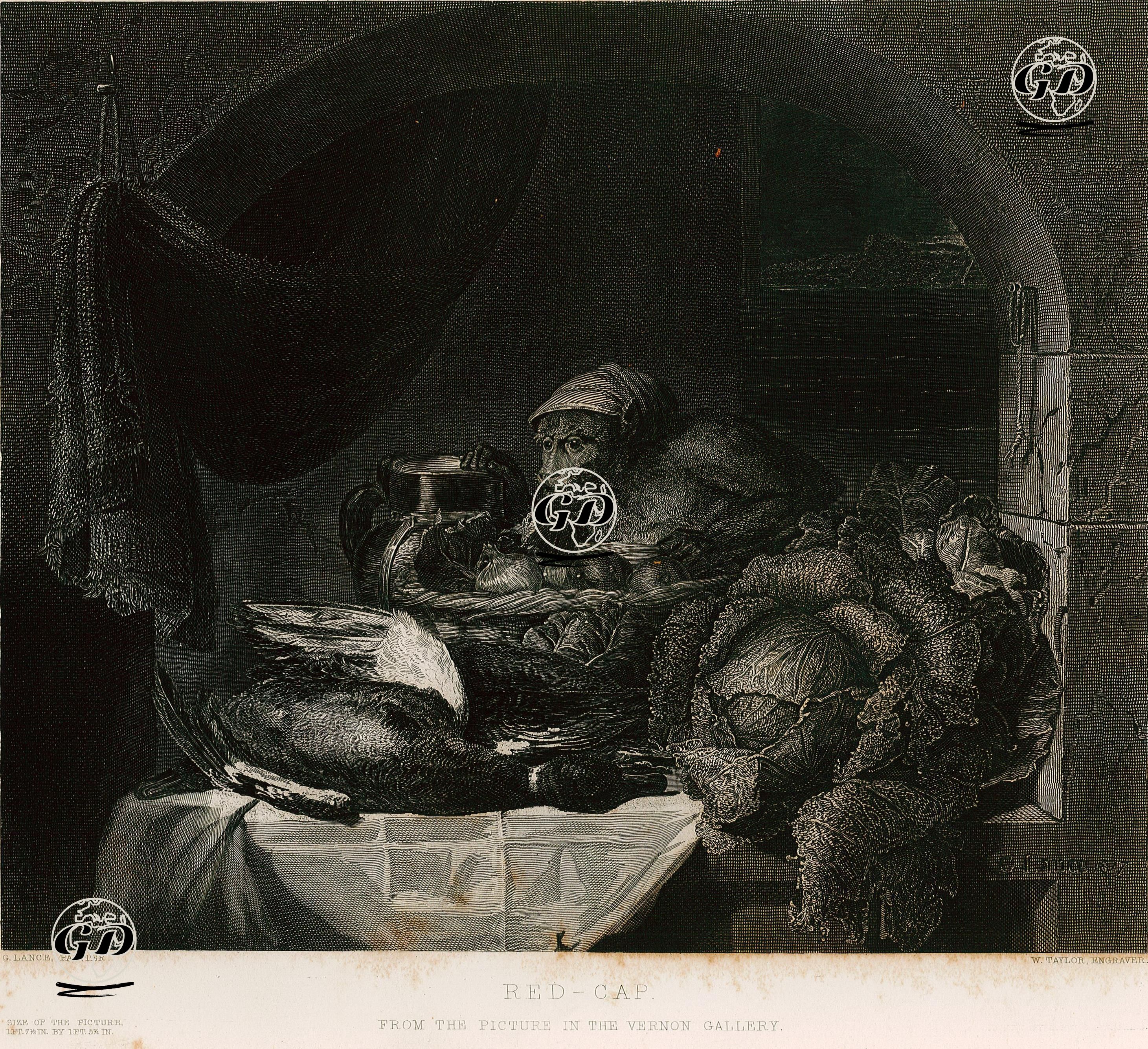 Kırmızı Şapka - George Lance (1802-1864) - 1855