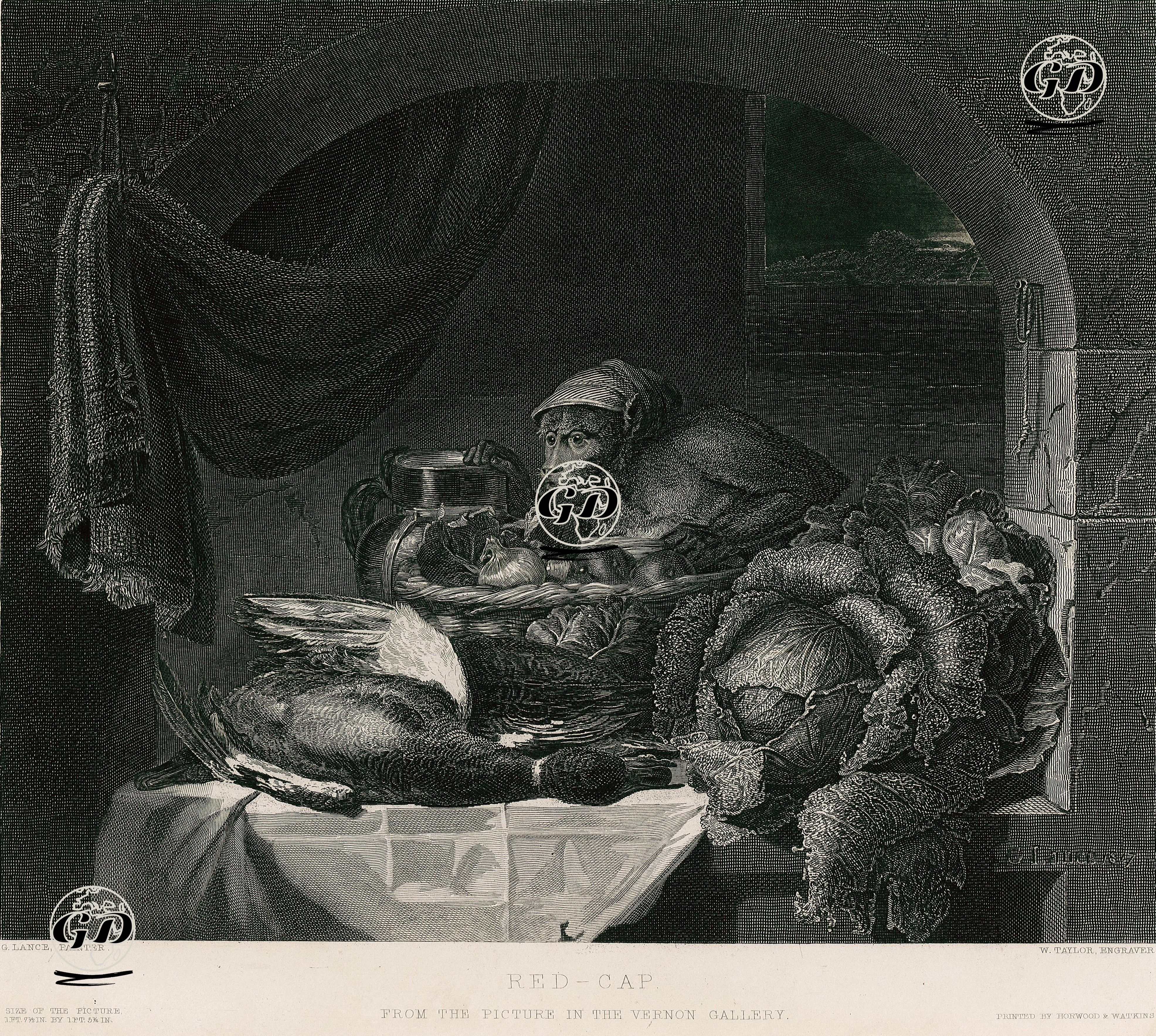 Kırmızı Şapka - George Lance (1802-1864) - 1851
