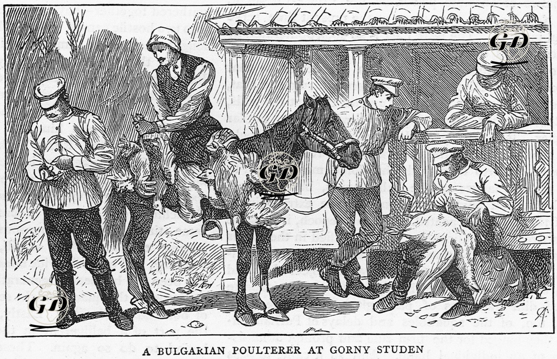 93 Harbinde Sırasında Gorny Studen'de Bir Tavuk Satıcısı -  - 1877