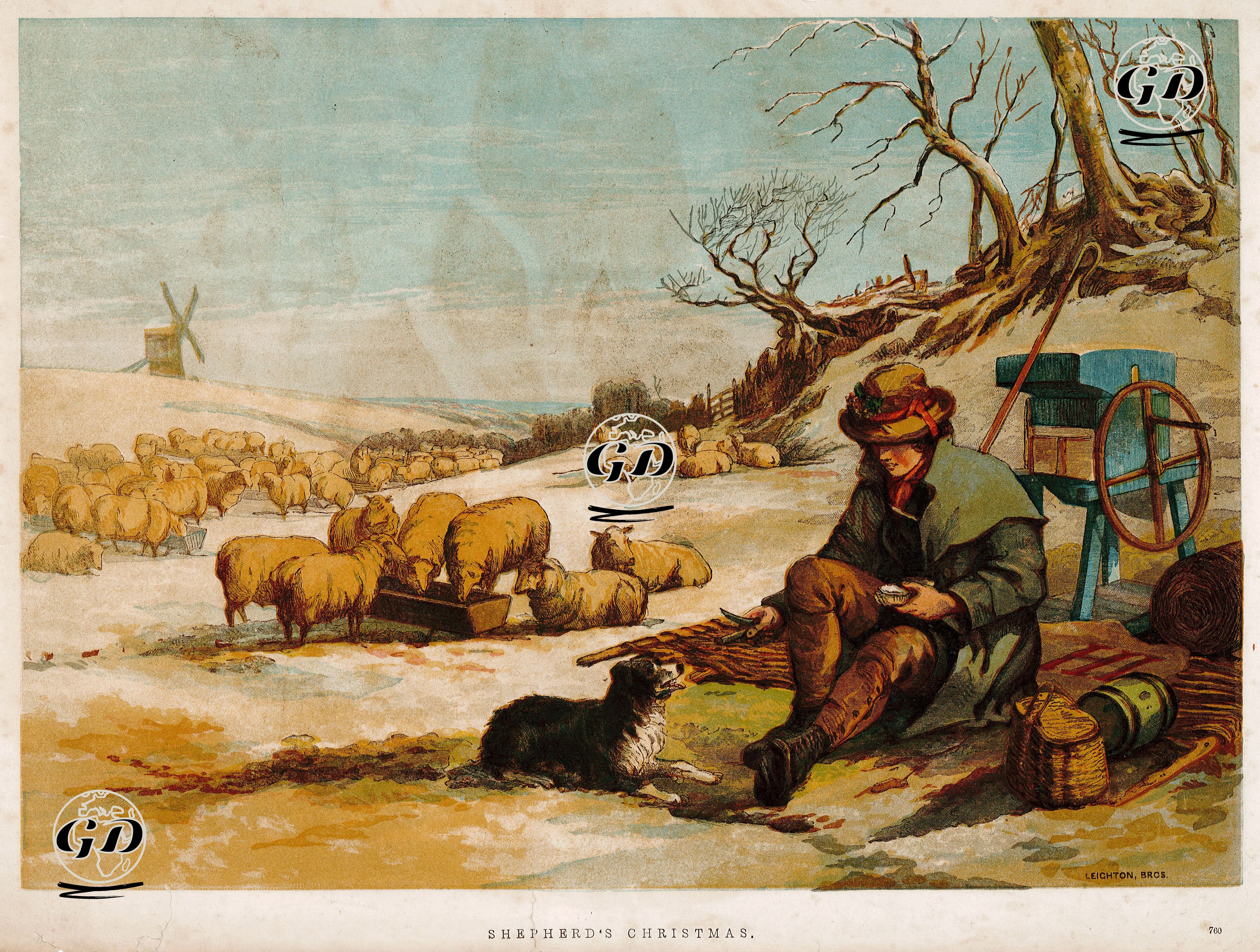 Çobanın Yılbaşısı -  - 1859