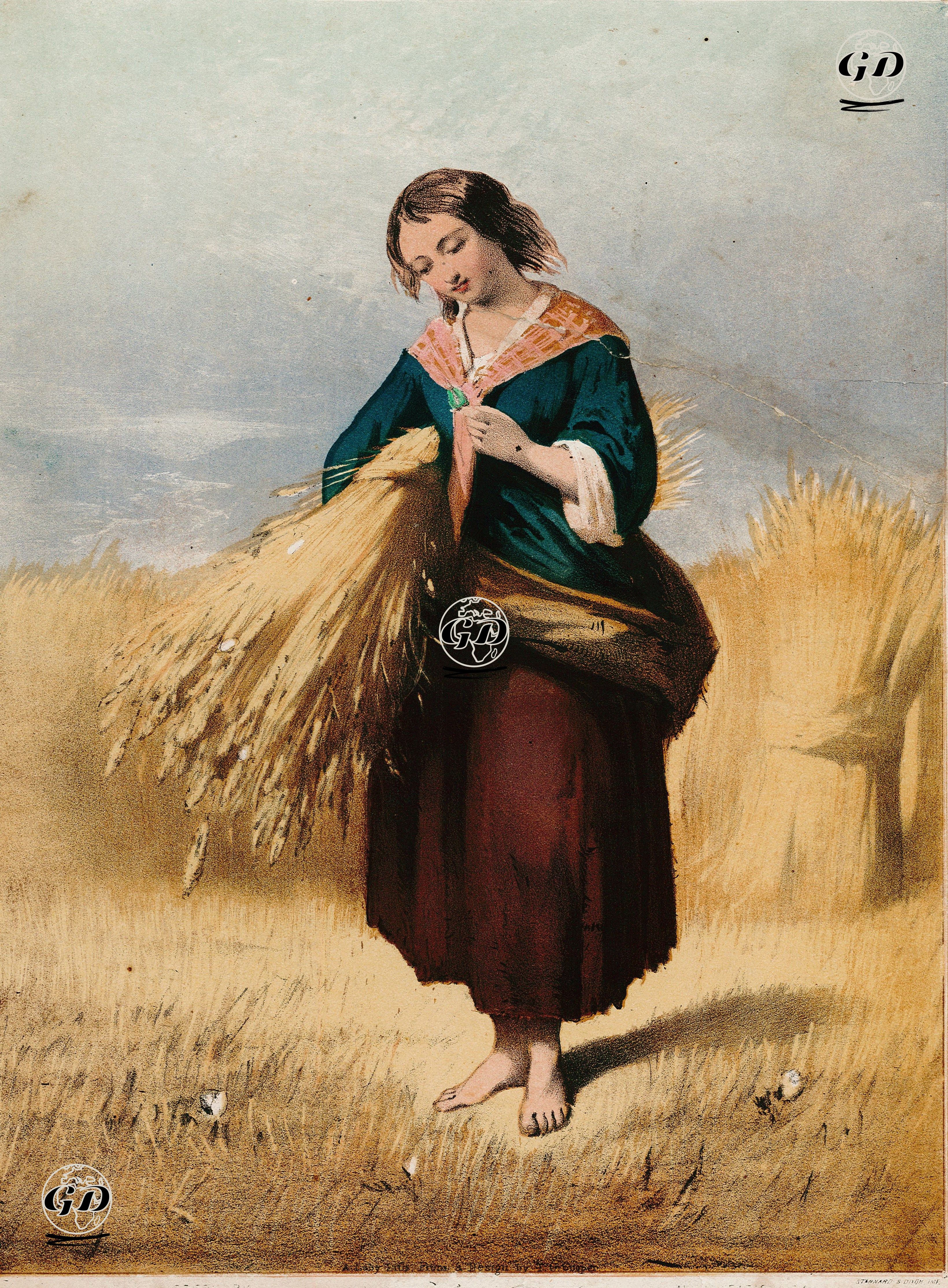 Bir Orakçı Kadın -  - 1840's-1850's