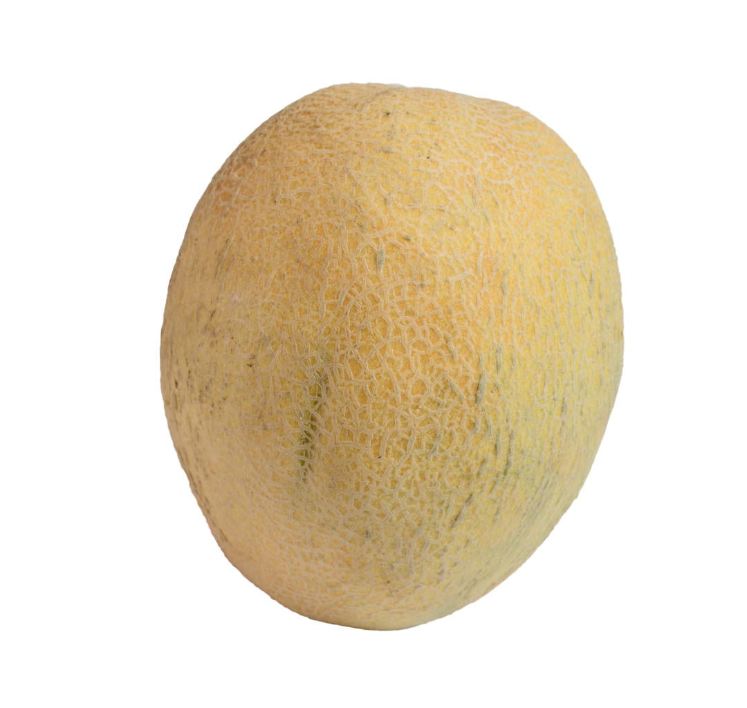 Cantaloupe