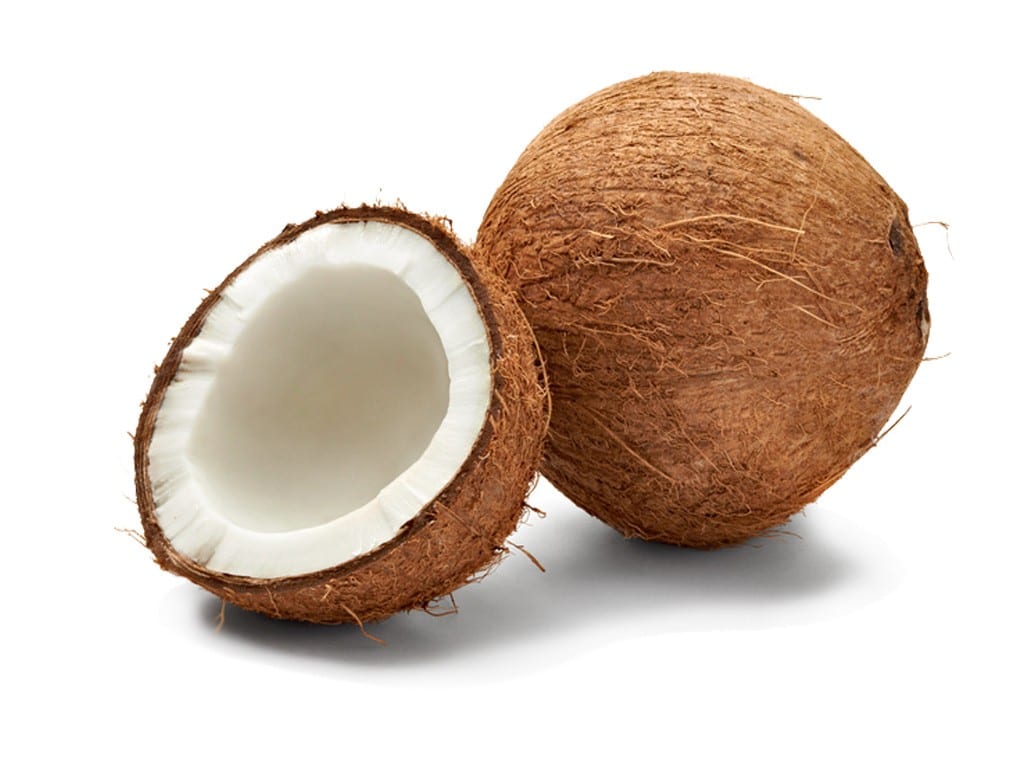 Coconut