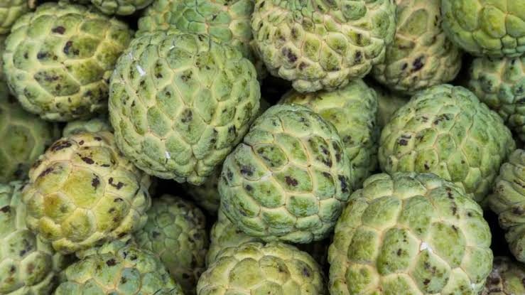 Sarifa ( custard apple)