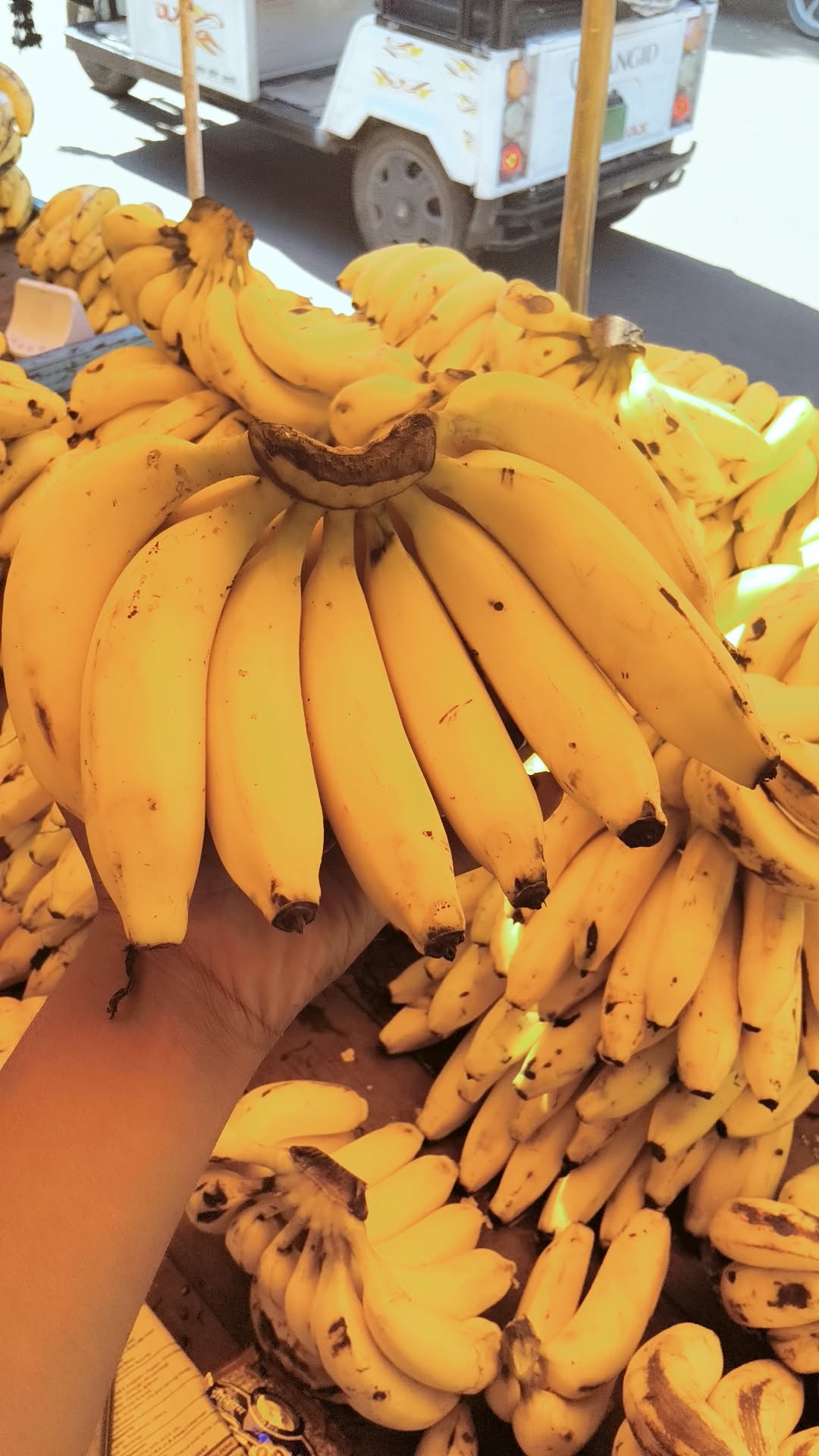 Banana