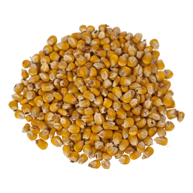 Organic Whole Yellow Corn