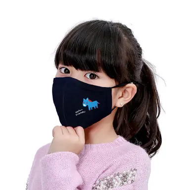 N95 KN95 Filter PM2.5 Childrens Face Mask Washable with Replaceable Anti-Pollution Activated Carbon Filter