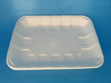 Khay Rau Quả Sinh Học (11"x8") 280x210x35 50 cái/túi 500 cái/hộp