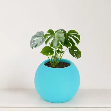 BLOOMBUDDY Bony Blue Mini Ceramic Planter – 9 cm Round | Aqua Blue Handmade Pot with Drainage Hole for Succulents, Desk Decor & Gifts
