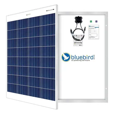 Bluebird 100 Watt 12 Volt Polycrystalline Solar Panel