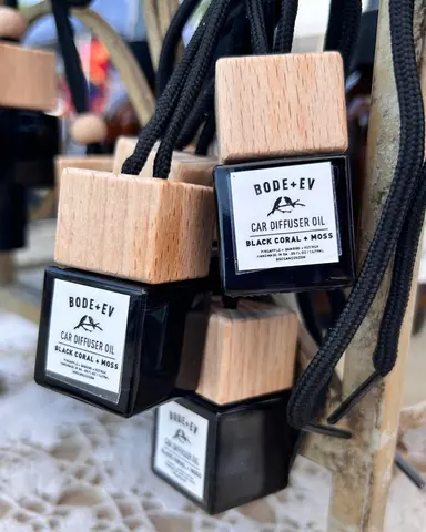 Earthy + Woody | Luxury Car Diffuser
