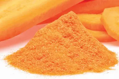 Organic Carrot Juice Powder