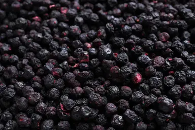 WILD Freeze Dried Whole Blueberries