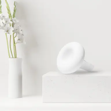 Ceramic Car Diffuser