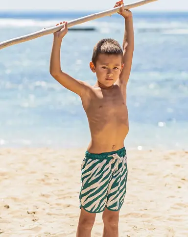 Quần shorts đi biển nhanh khô Electric Zebra Emerald