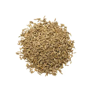 Hạt thì là Ai Cập (Cumin Seed)