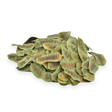 Senna Pod