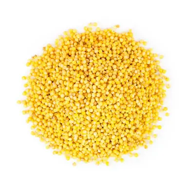 Millet