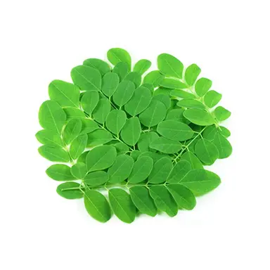 Moringa Leaves