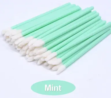 Cọ đánh môi