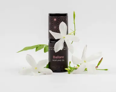 Ballare