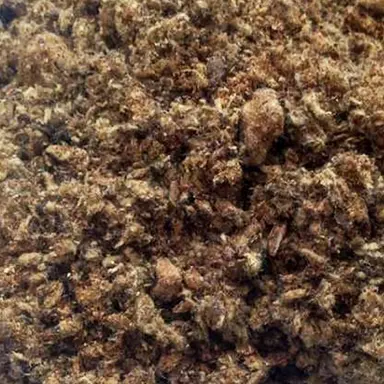 Cottonseed Meal for Cattle | High-Protein Livestock Feed