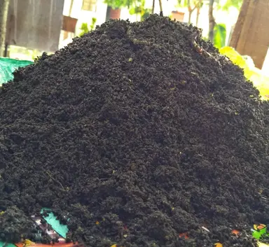 Premium Vermicompost – Organic Soil Enricher