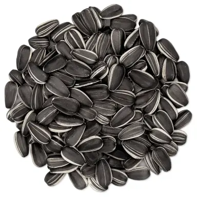 Sunflower Seed Manufacturer | Bulk Sunflower Seed Supply