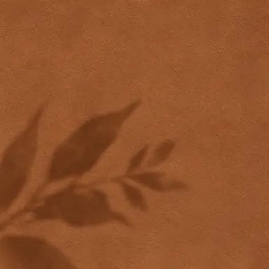 WARM & EARTHY
