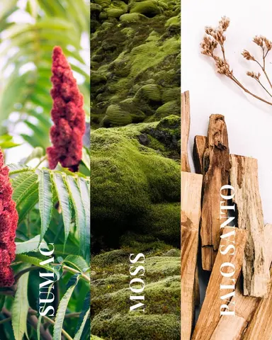 Aspen Vale Candle | Sumac + Moss + Palo Santo