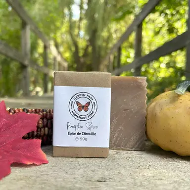 Pumpkin Spice Bar Soap (seasonal) Lightly Scented with Fragrance