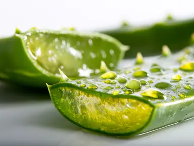 Aloe Vera Oil