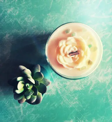 Wood Wick Soy Candle | Cactus + Sea Salt