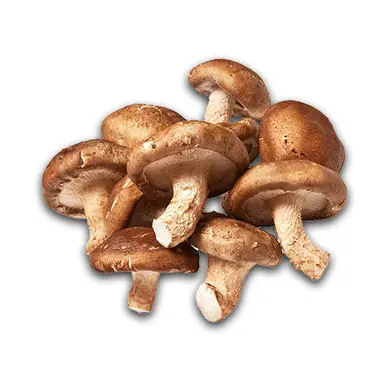 Organic Shiitake (25kg MOQ) (Bulk)