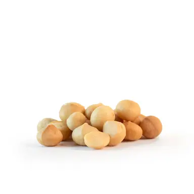 Hạt Macadamia, Rang & Muối